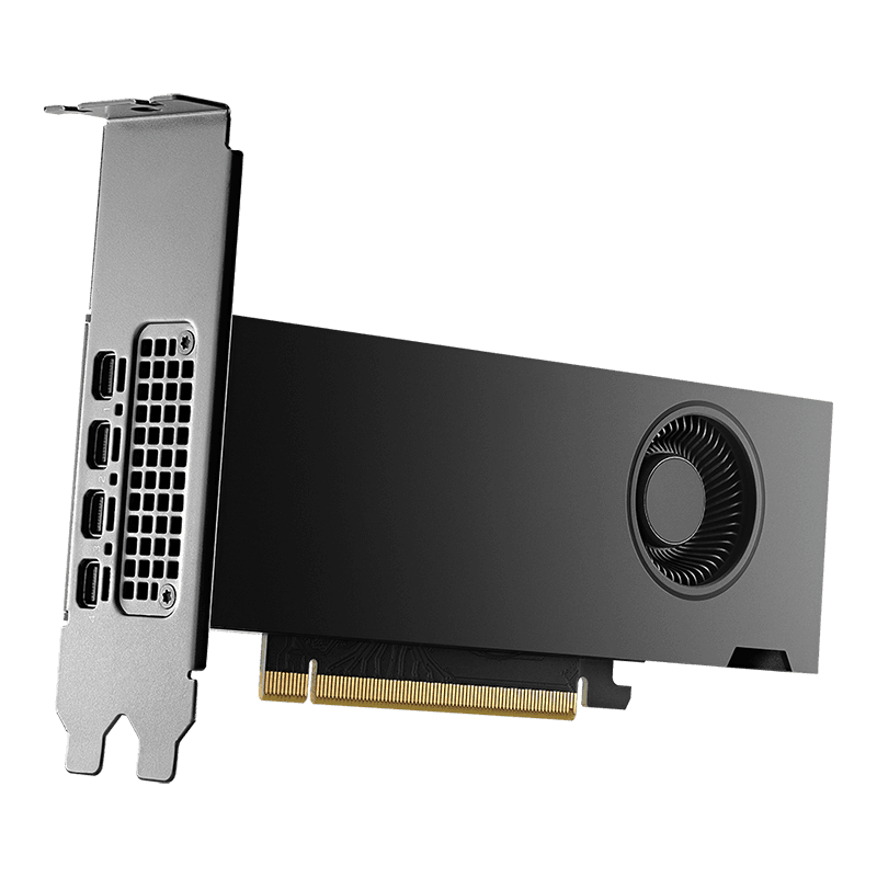 RTX 2000 Ada 16GB LowProfile thumbnail 3